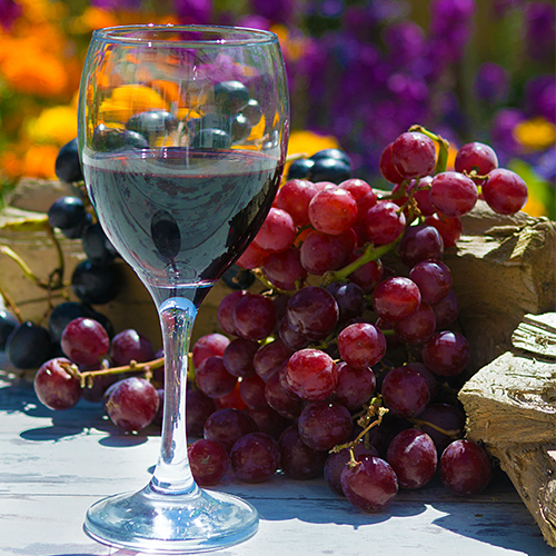 grapes-wine